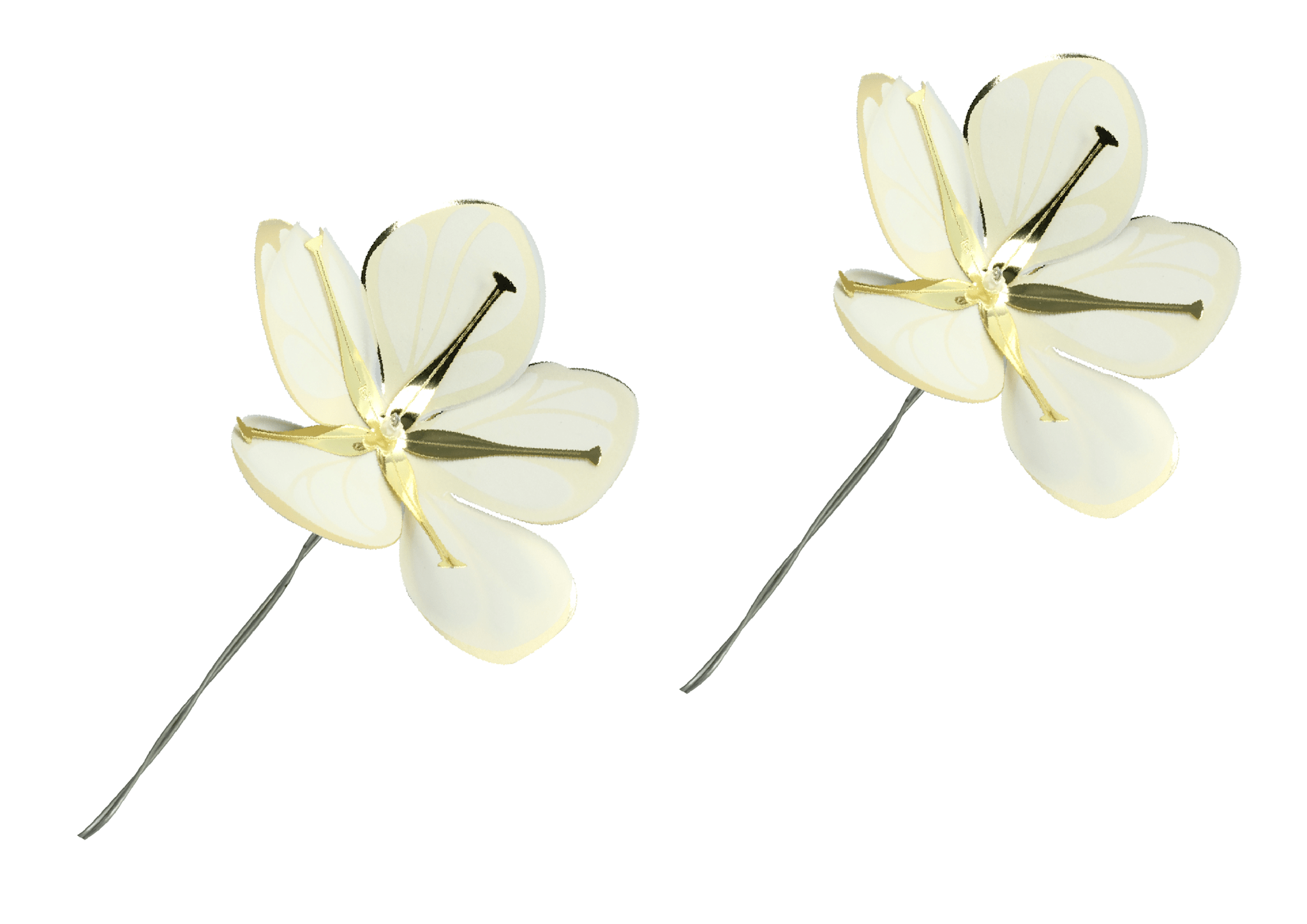 Flowers, White & Gold, medium