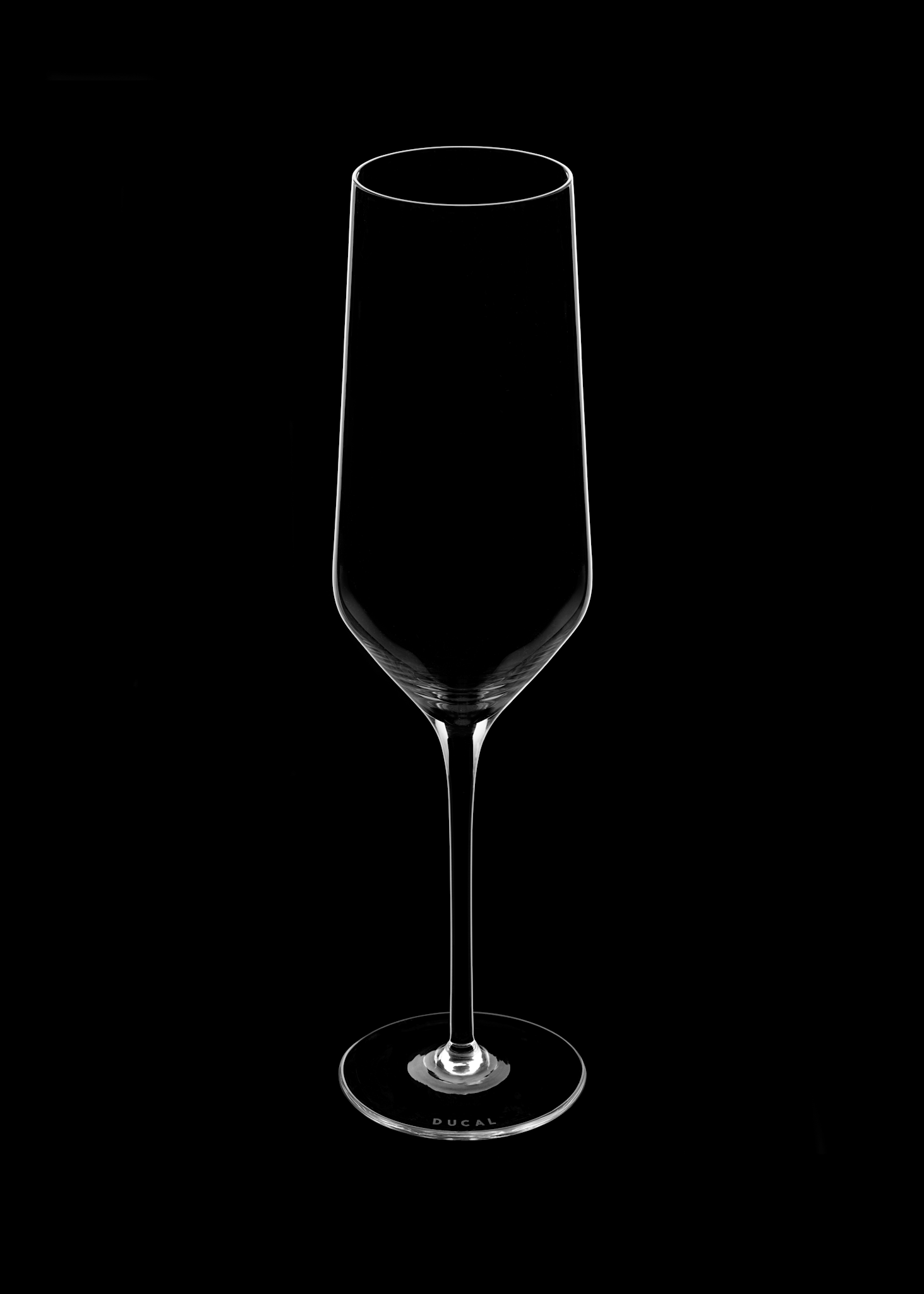 DUCAL Champagne Flute Glass – 2 pcs